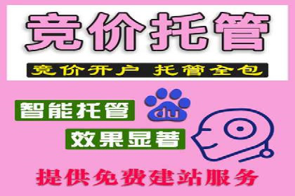 竞价代运营的挑战与机遇：一则行业案例解读